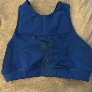 Chestee Sports Bra, size 8, would consider a medium, royal blue.